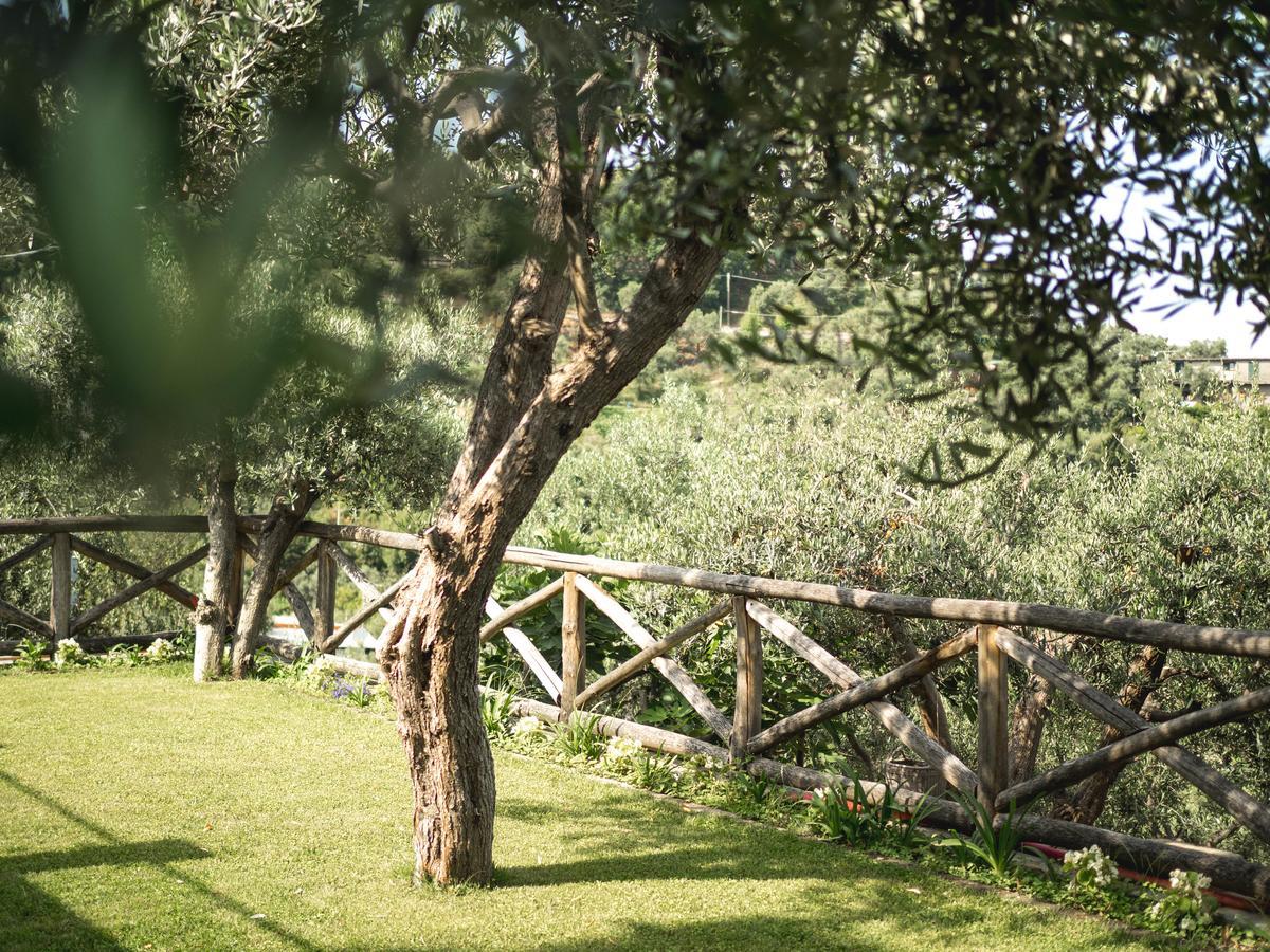 Casa Clementina Marciano Bed and Breakfast Massa Lubrense Eksteriør billede